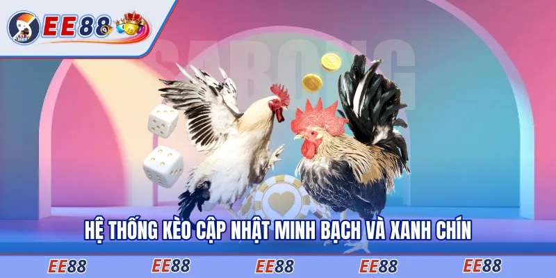 Hệ thống kèo cập nhật minh bạch và xanh chín