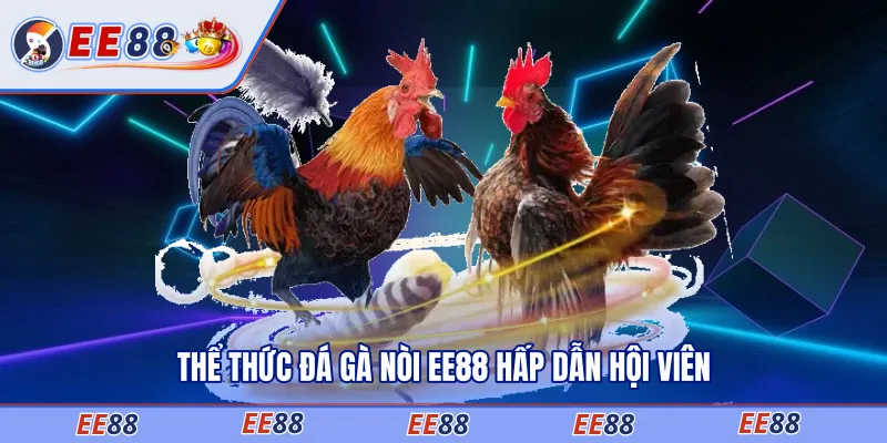 Thể thức đá gà nòi EE88 hấp dẫn hội viên