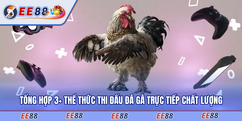 đá gà trực tiếp